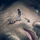 Illustration for article titled Perfect photoshops warp the world into mind-twisting reality